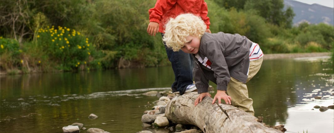 Two young boys playing on a tree