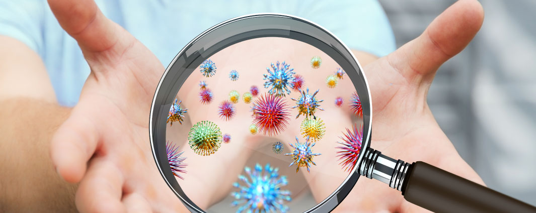 Viruses under a magnifying glass