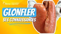 Image de poumon, pour la vidéo Gonfler ses connaissances