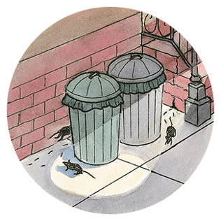 Rats running around a garbage can