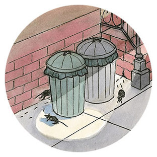 Des rats autour des poubelles extérieures