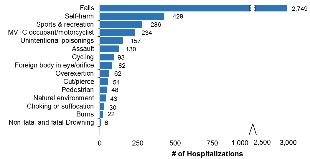 Horizontal bar chart of the leading causes of injury-related emergency department visits for Ottawa residents, all ages, in 2017