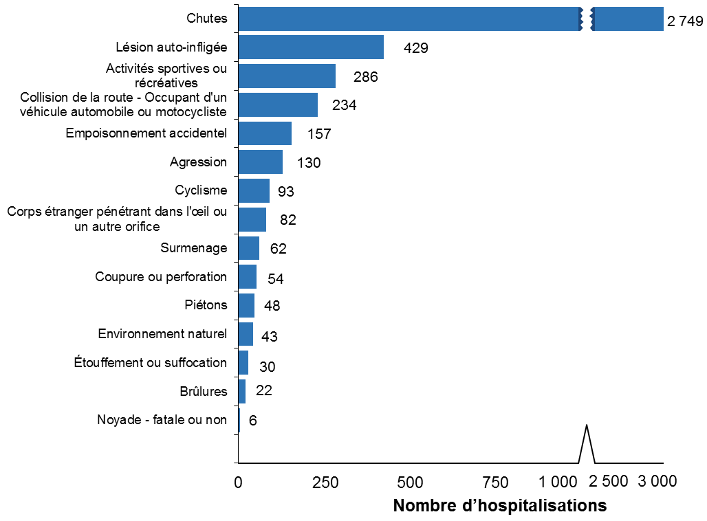 Graphique à barres horizontales présentant les principales causes des hospitalisations attribuables à des blessures chez les Ottaviens de tous âges, en 2017