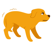 Dog showing fear
