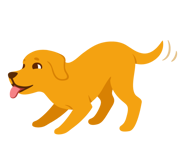 Dog showing play