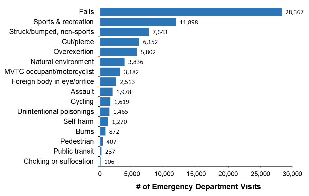 Horizontal bar chart of the leading causes of injury-related hospitalizations for Ottawa residents, all ages, in 2017