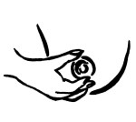 hand holding breast with thumb placed at top of areola and index at bottom of areola