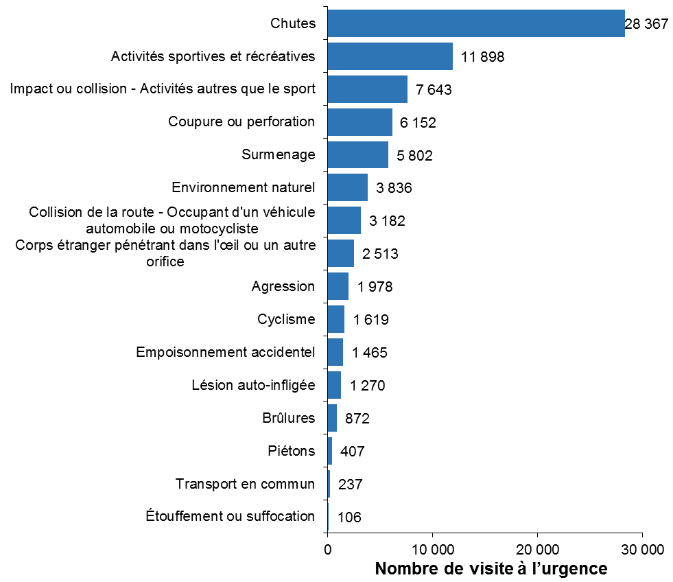 Graphique à barres horizontales présentant les principales causes des visites à l’urgence attribuables à des blessures chez les Ottaviens de tous âges, en 2017