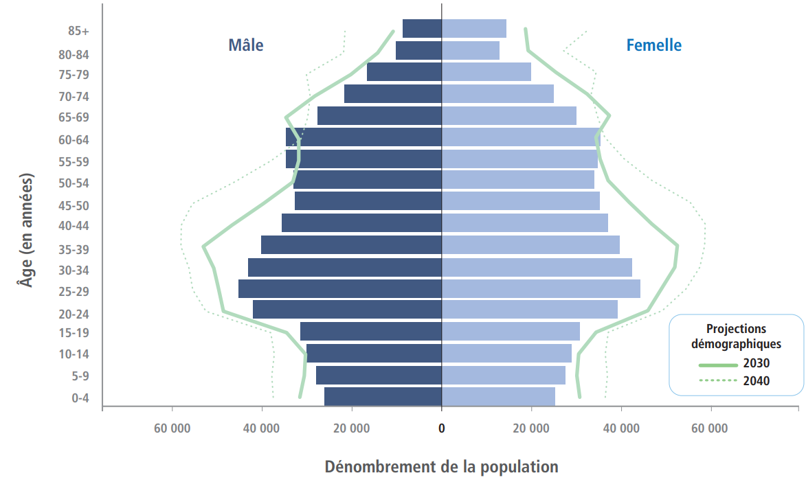 Figure 1. Répartition de la population selon le sexe à Ottawa en 2023, 2030 et 2024.