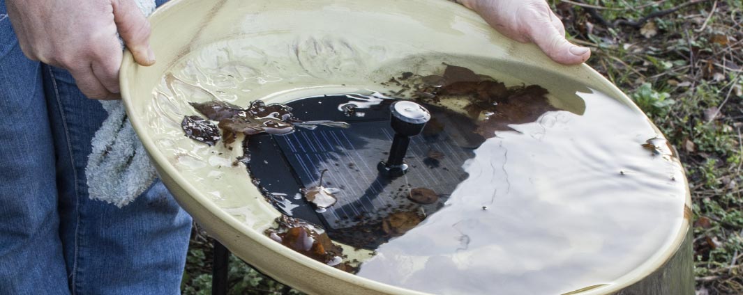 Picture of a bird bath