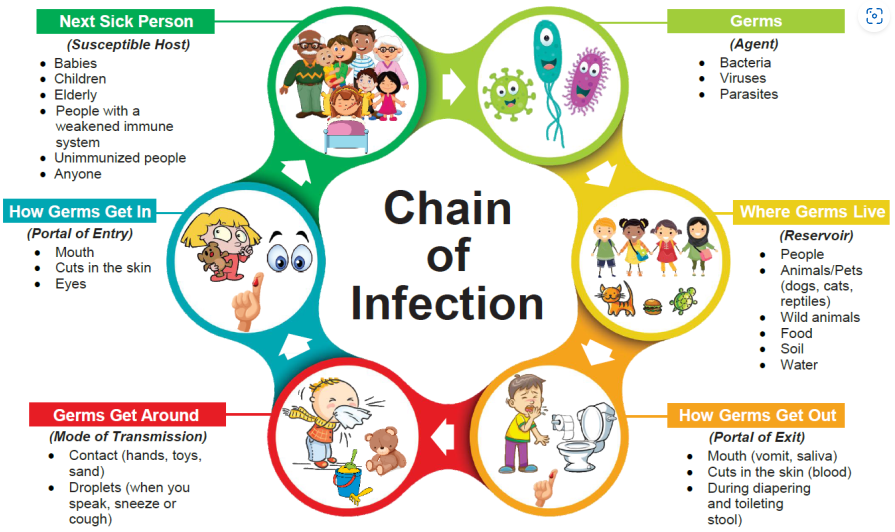 Chain of infection